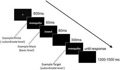 The Influence of Hierarchical Masks on Masked Repetition Priming: Evidence From Event-Related Potential Investigation